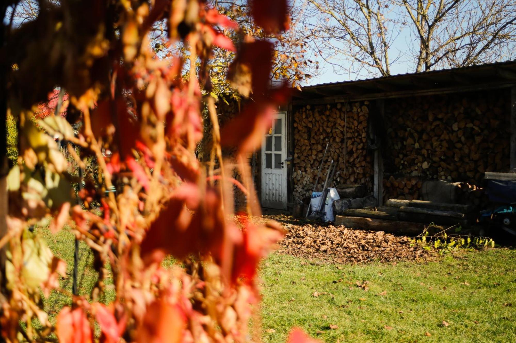 Villa Soltysowka Wólka Esterno foto